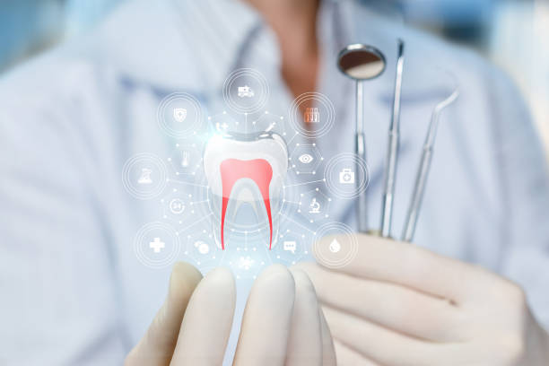 Best Cosmetic Dentistry  in Northwest Harbor, NY